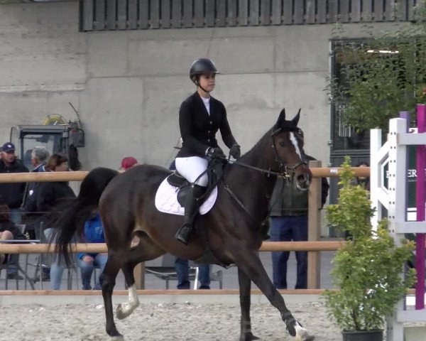 Reitturnier Felsberg 2022