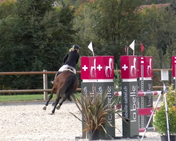 Reitturnier Felsberg 2022