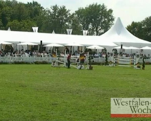 Springpferd Babett 28 (Oldenburger, 2005, von Balou du Rouet)