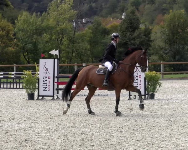 Reitturnier Felsberg 2022