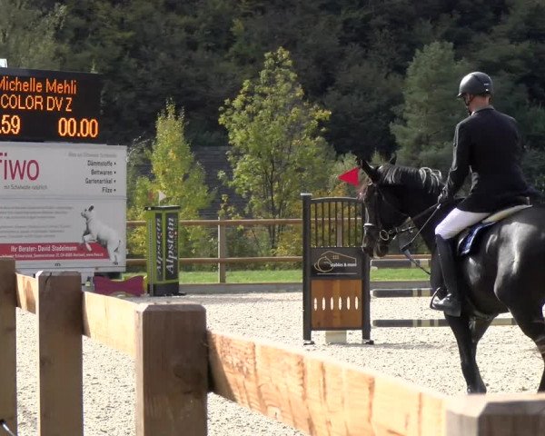 Reitturnier Felsberg 2022