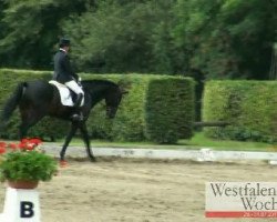 dressage horse Silent wish (Oldenburg, 2006, from Serano Gold)