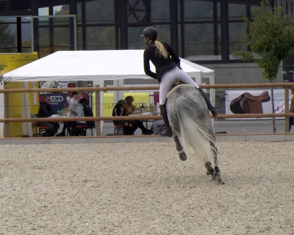 Reitturnier Felsberg 2022