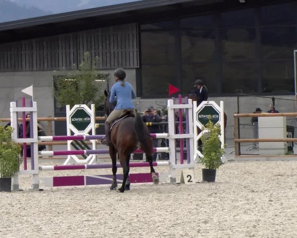 Reitturnier Felsberg 2022