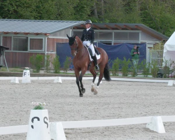Reitturnier Troisdorf - Haus Rott 2022