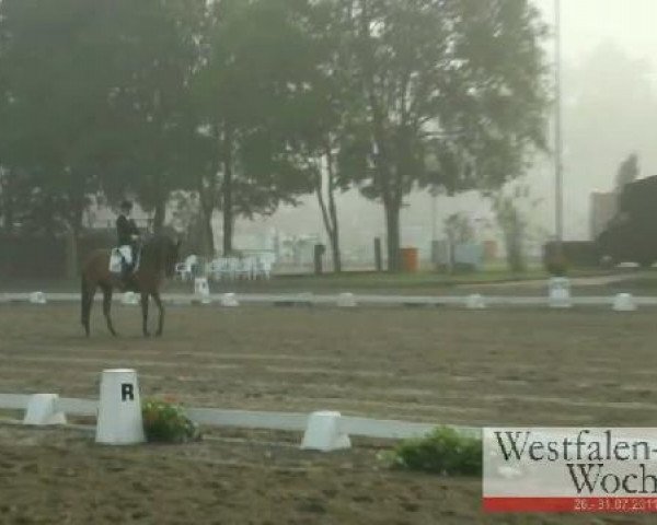 dressage horse Rock-DJ (Westphalian, 2006, from Real Diamond)