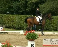 dressage horse Picardo 13 (Westphalian, 2006, from Pik Labionics)