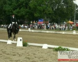 dressage horse Diavolo Nero (Westphalian, 2006, from Dimaggio)