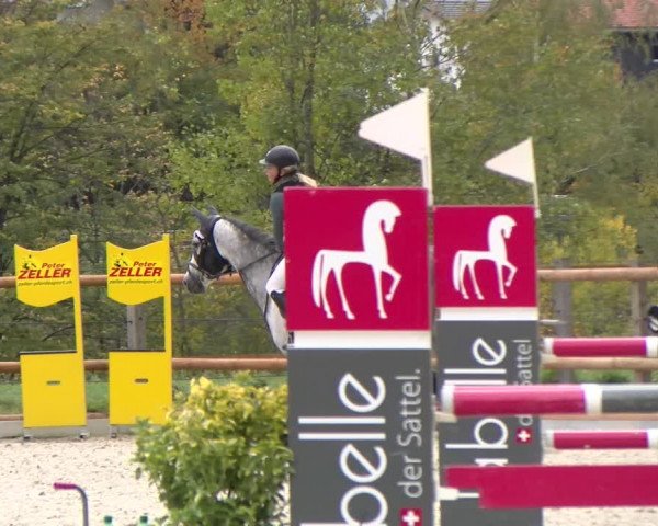 Reitturnier Felsberg 2022