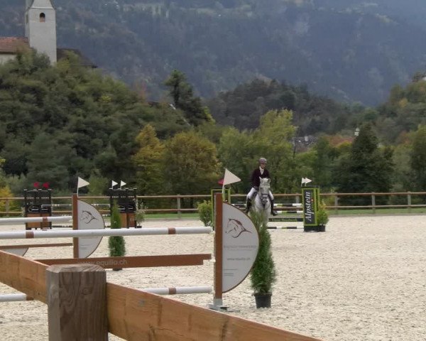Reitturnier Felsberg 2022