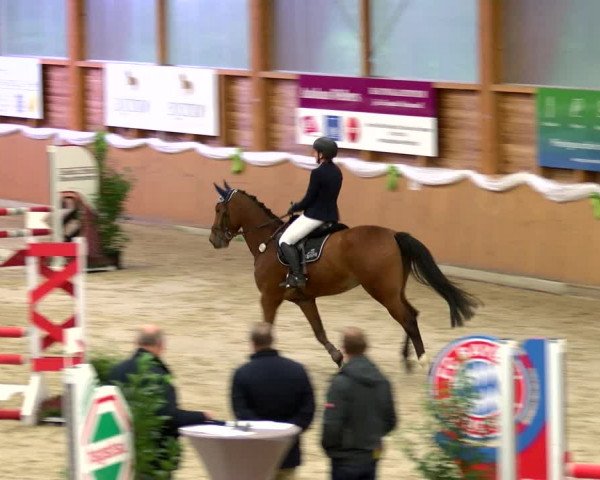 Reitturnier Xanten - Reitanlage Miss 2022