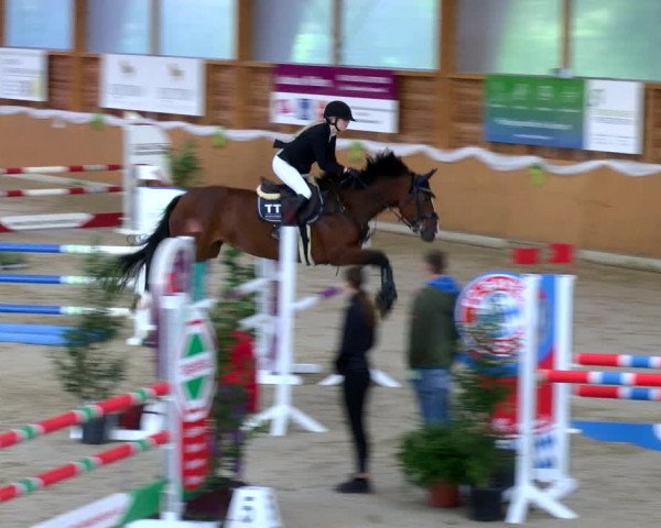 Reitturnier Xanten - Reitanlage Miss 2022