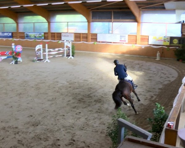 Reitturnier Xanten - Reitanlage Miss 2022