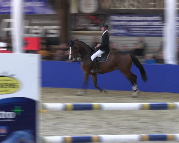 Reitturnier Isterberg Euregio Springturnier 2022