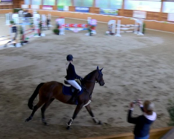 Reitturnier Xanten - Reitanlage Miss 2022