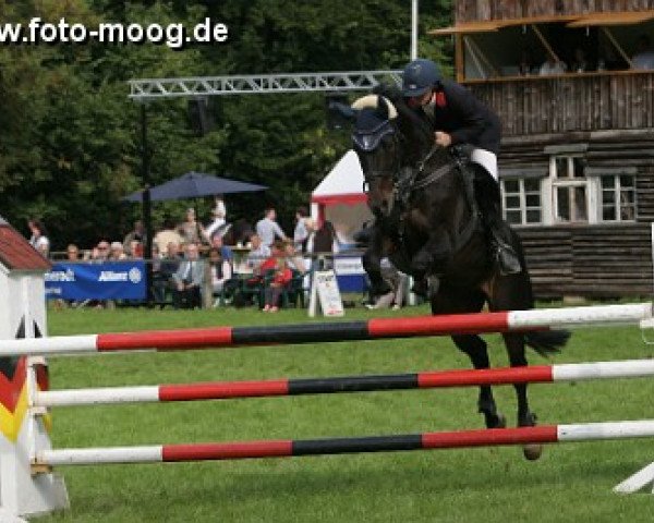 jumper Rüschi (Sachse, 1993, from Rosenthal)