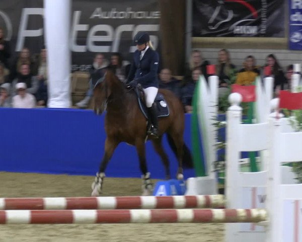 Reitturnier Isterberg Euregio Springturnier 2022