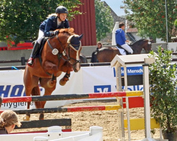 Springpferd Pepper 125 (Westfale, 2001, von Praktiker)