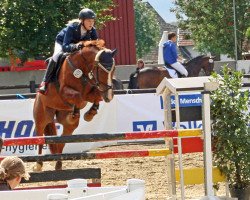 jumper Pepper 125 (Westphalian, 2001, from Praktiker)