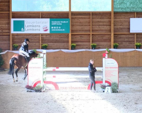 Reitturnier Xanten - Reitanlage Miss 2022