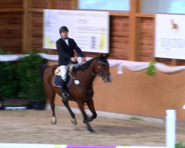 Reitturnier Xanten - Reitanlage Miss 2022