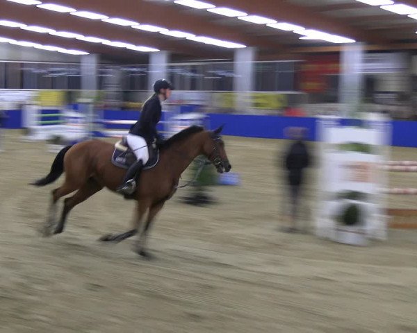 Reitturnier Isterberg Euregio Springturnier 2022