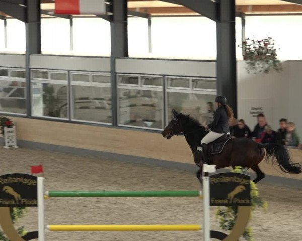 Reitturnier Borken 2022