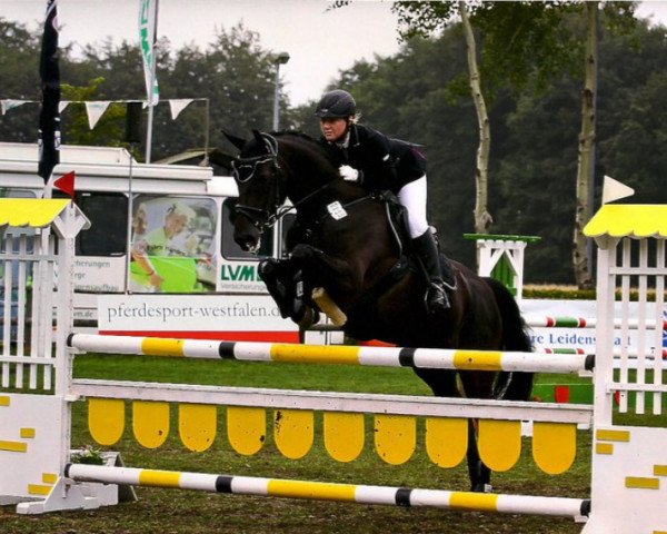 jumper Thalia Noir (Brandenburg, 2000, from Rubinstern Noir)