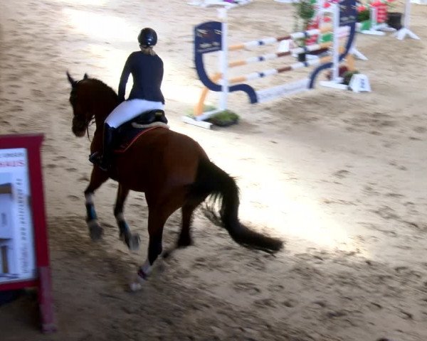 Reitturnier Xanten - Reitanlage Miss 2022