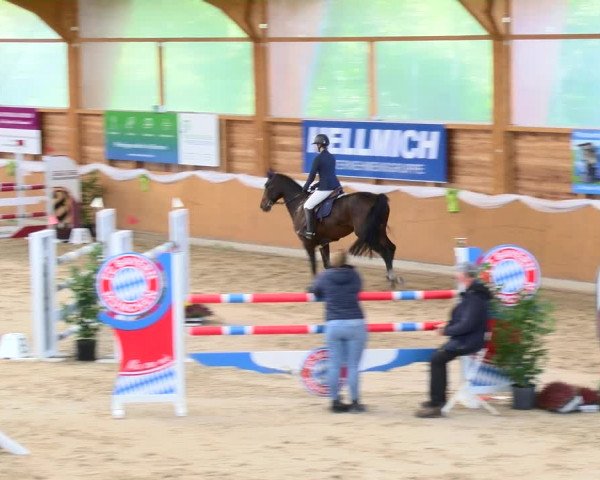 Reitturnier Xanten - Reitanlage Miss 2022