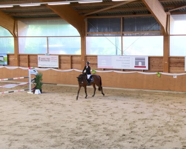 Turniej Jeździecki Xanten - Reitanlage Miss 2022