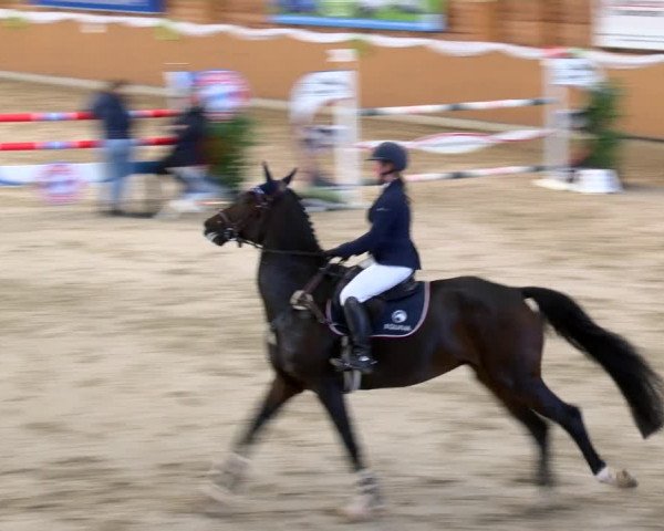 Reitturnier Xanten - Reitanlage Miss 2022