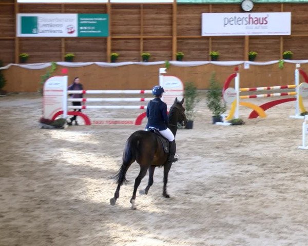 Reitturnier Xanten - Reitanlage Miss 2022