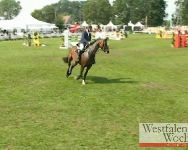 jumper Polly Pa R (Westphalian, 2005, from Portland L)