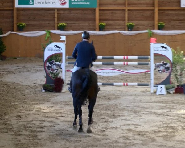 Reitturnier Xanten - Reitanlage Miss 2022