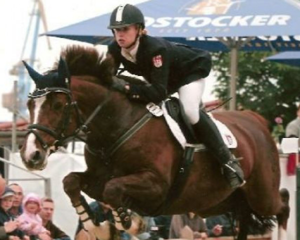 broodmare Evita 103 (Holsteiner, 1993, from Capitol I)