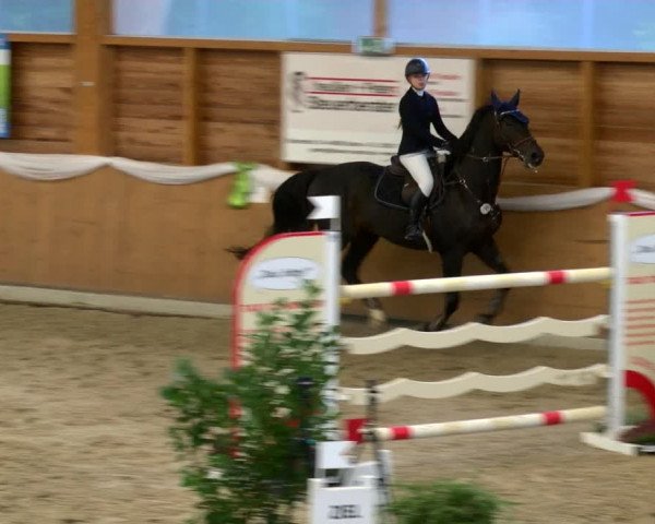Reitturnier Xanten - Reitanlage Miss 2022