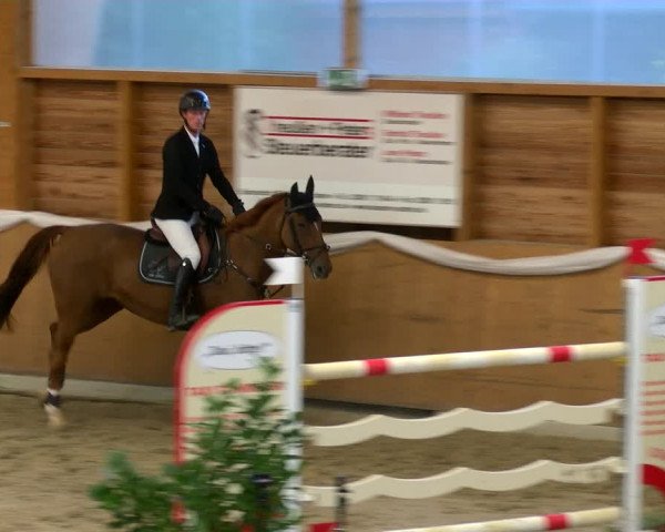 Reitturnier Xanten - Reitanlage Miss 2022