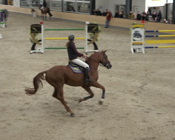 Reitturnier Borken 2022