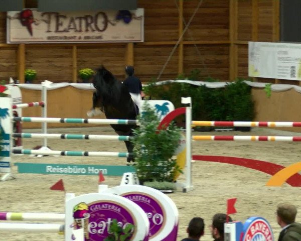 Reitturnier Xanten - Reitanlage Miss 2022