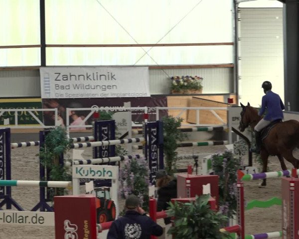 Reitturnier Borken 2022