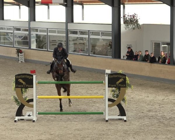 Reitturnier Borken 2022