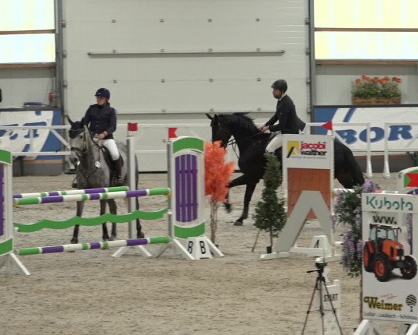 Reitturnier Borken 2022