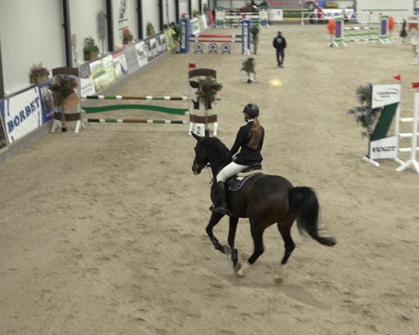 Reitturnier Borken 2022