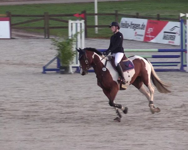 Reitturnier Westergellersen 2022