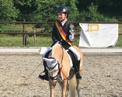 dressage horse Doylan Glittering Gold (Welsh-Pony (Section B), 2008, from Doylan Golden Attraction)
