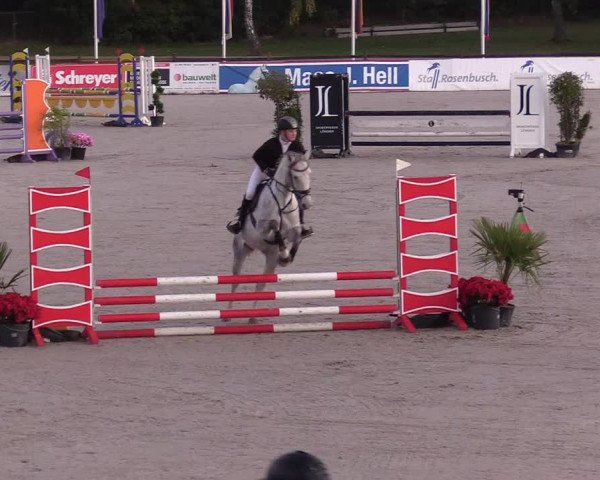 Reitturnier Westergellersen 2022