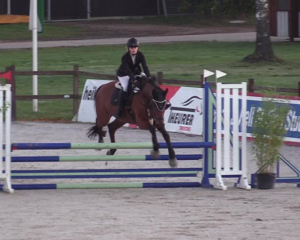 Reitturnier Westergellersen 2022