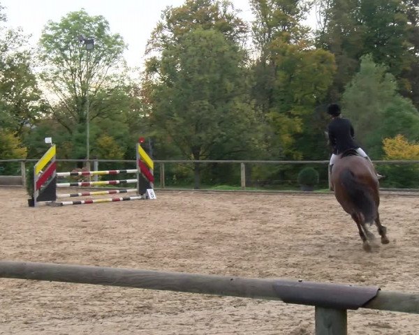 Reitturnier Diessen 2022
