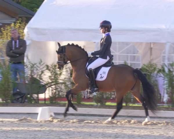 Reitturnier Troisdorf - Haus Rott 2022